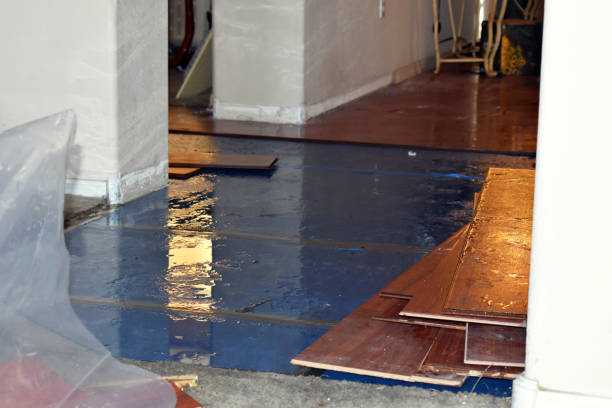 Professional Burst Pipe Cleanup technician working in Helen, WV